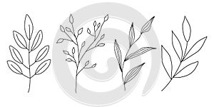 Set of different branches with leaves, doodle style flat vector outline for coloring book