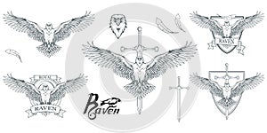 Set of different carrion-crows. Hand drawn of the raven. Wild birds drawing. Raven logo.