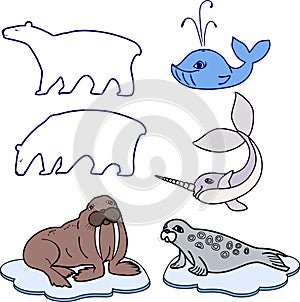 Set of different cartoon animals of polar fauna on white background