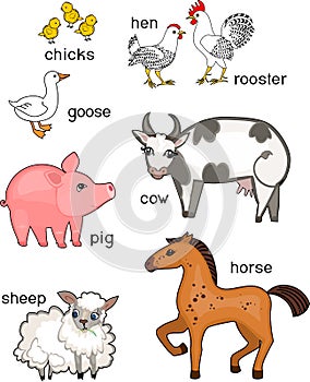 Set of different cartoon farm animals with titles on white background