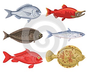 Set of different cartoon fish on white background