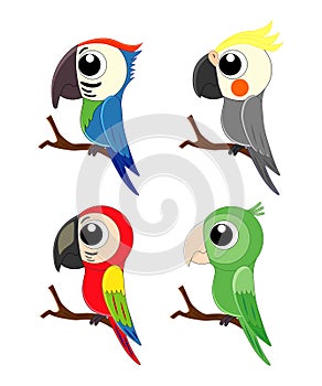 Set of different cartoon parrots. Exotic birds. Vector illusration isolated on white background.