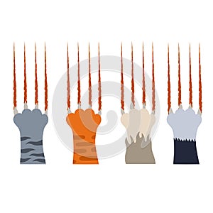 Set of different cat paws with claws and bloody scratch marks