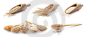 Set with different cereal grains