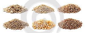 Set with different cereal grains