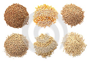 Set with different cereal grains