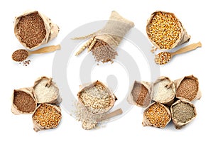 Set with different cereal grains on white background