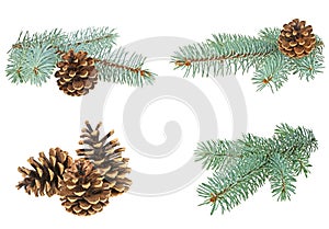 Set of different Christmas decorations. Blue spruce twig with cone isolated on a white background