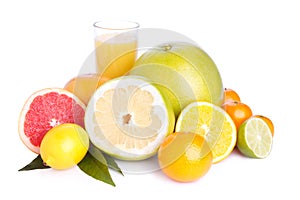 Set of different citrus and juice