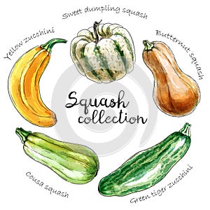 Set of different colored squashes.