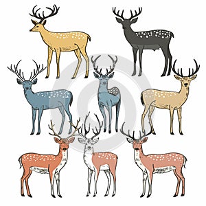 Set different colored standing deer, antlers prominent each, spotted fur patterns. Handdrawn deer photo