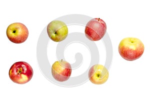 Set of different colorful apples isolated white background