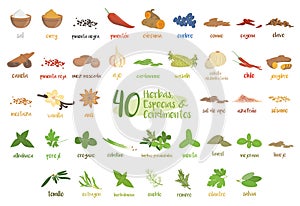 Set of 40 different culinary herbs, species and condiments in cartoon style. Spanish names. photo