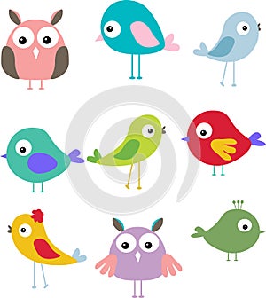 Set of different cute bird cartoon