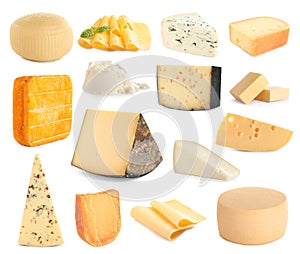 Set of different delicious cheeses on white