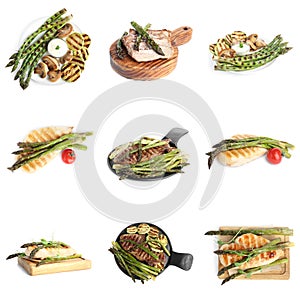 Set of different delicious meals with asparagus on background