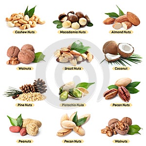 Set of different delicious organic nuts