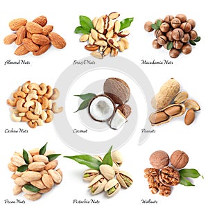 Set of different delicious organic nuts on white, top view photo