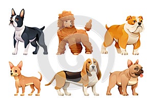 Set of different dog breeds in cartoon style