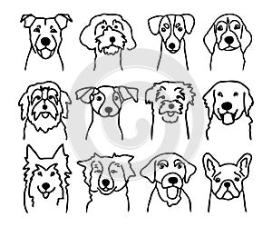 Set of different dog faces. Canine breeds in doodle style. Ink hand drawn heads of funny puppies. Pets contour simple kids style
