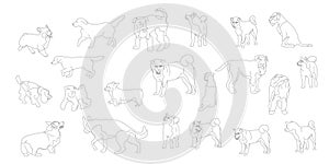 Set of different dogs. Big collection of dog breeds. Isolated on white background. Flat style cartoon stock vector