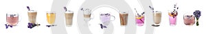 Set of different drinks with lavender on white background. Banner design