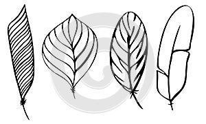 set of different feathers handwritten in black and white