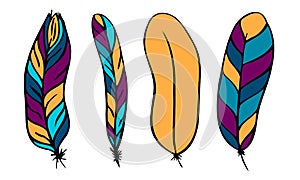 set of different feathers handwritten in colorful details