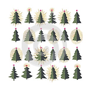 Set of different fir trees on white background