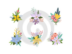 Set of different floral branch. Flower decoration for greeting card