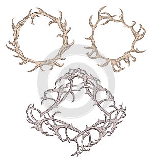 Set of different frame of deer antlers.