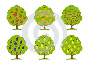 Set of different fruit trees. Lemon and orange apple cherry pear plum. Orchard garden harvest. Vector Illustration.