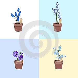 Set with different garden flowers. Different sorts and color