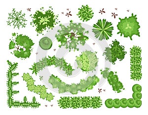 Set of different green trees, shrubs, hedges. Top view for landscape design projects. Vector illustration, isolated on photo