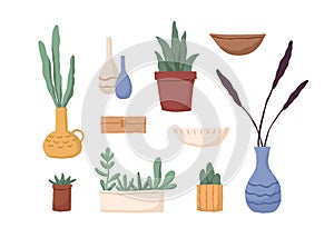 Set of different houseplants in pots, vases, boxes and flowerpots. Modern interior plants, succulents, cacti and empty