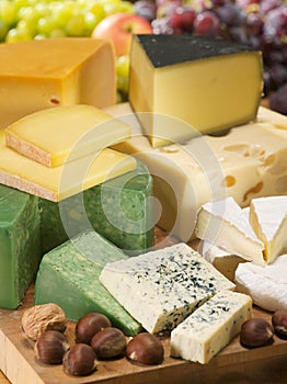 Cheese Dairy various set Cheeses