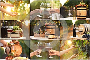 Set with different kinds of grapes, wine and people