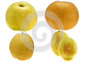 A Set of Different Kinds of Pear