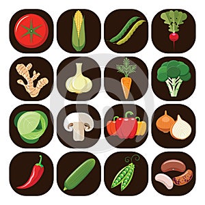 Set of different kinds of vegetables.