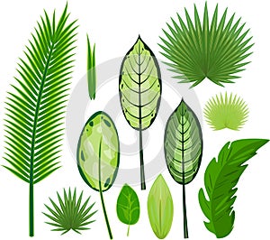 Set of different large green leaves of tropical plants