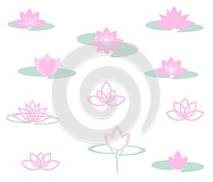 A set of different lotuses