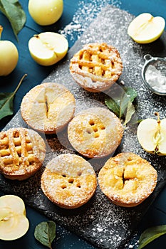 Set of different mini apple pies. Autumn pastry dessert.