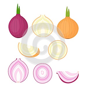 Set with different onions