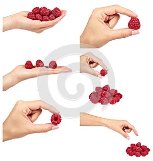 set of different Organic fresh raspberry with hand isolated on a white background