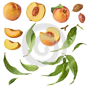 Set with different parts of fresh ripe peaches and leaves