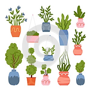 Set of different potted plants and trees