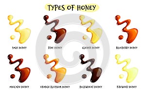 Set of different realistic types of honey