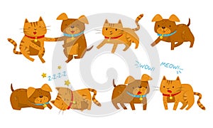 Set With Different Relationship Between Dogs And Cats Vector Illustration Cartoon Character