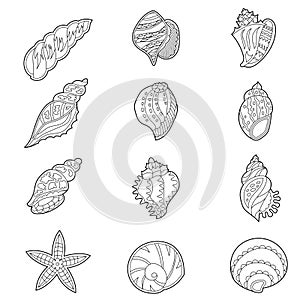Set with different sea shells. Contour linear illustration for coloring book. Anti stress picture. Line art design for adult or