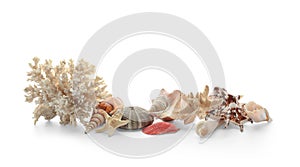 Set of different sea shells, starfish and coral on white background